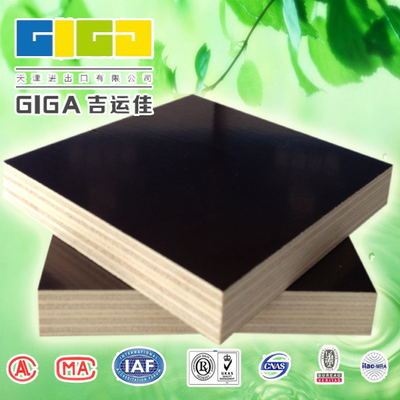 供應(yīng)東北沈陽建筑模板金亨建筑模板廠 沈陽建筑模板廠家直銷13502087050圖片_高清圖_細(xì)節(jié)圖